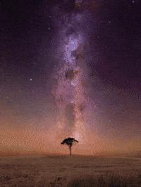 Clubhouse Ping GIF