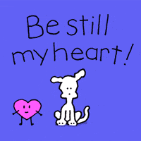 I Love You Dogs GIF by Chippy the Dog