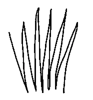 Qazwsx Sticker