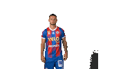 Football Chateauroux Sticker by La Berrichonne de Châteauroux