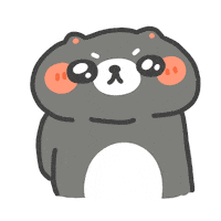 Cute Cat No Sticker