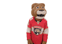 Ice Hockey Sticker by NHL