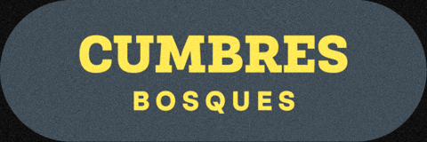 Torneo De La Amistad GIF by TDLA