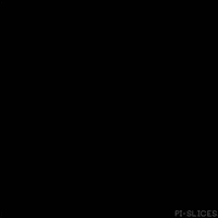pislices loop 3d trippy black and white GIF