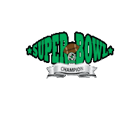 Flag Football Dyf Sticker by Dragon Youth Football