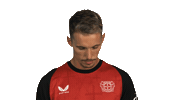 Look Up Bayer Leverkusen Sticker by Bundesliga