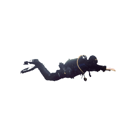 divemasterscuba diver divemasterscuba Sticker