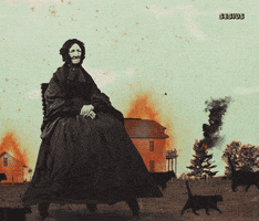 SESIUS_01 cat fire cats attack GIF