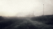 GIF by Cinecom.net