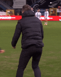 Ivan Leko Celebration GIF by Club Brugge