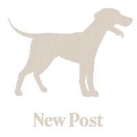 manuel_platzer dog dogs dogs are great modern dogs Sticker