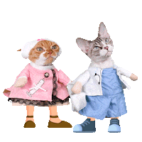 Get Well Soon Cat Sticker