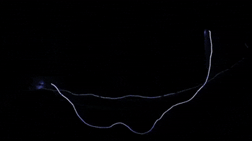 digital art flash GIF by VIRTUTE