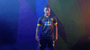 Meow Wolf Home Kit GIF by New Mexico United