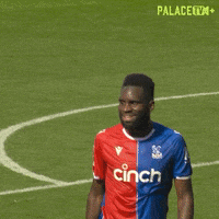Premier League Smile GIF by Crystal Palace Football Club