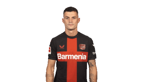 Come On Hello Sticker by Bundesliga