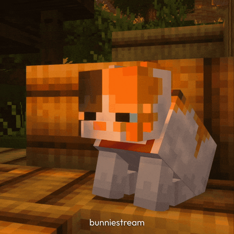 Cat Orange GIF