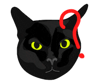 Confused Black Cat Sticker