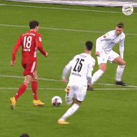 Champions League Reaction GIF by FC Bayern Munich
