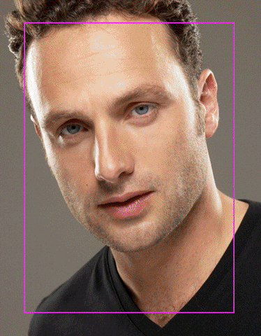 andrew lincoln GIF