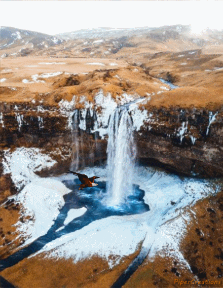 Pipercreations Scenery Nature Desert Sunshine Waterfall Eagle Snow Water Waves Clilff GIF by PiperCreations