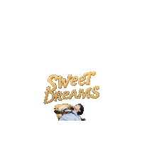 Sweet Dreams Night Sticker