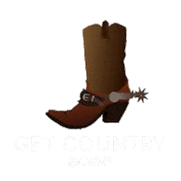 Concert Spotlights Sticker by Woodlands Pavilion