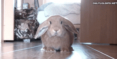 gurhankulakli giphyupload GIF