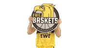Ewe Baskets Basketball Sticker by EWE Baskets Oldenburg