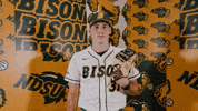 Baseball Bison GIF by NDSU Athletics