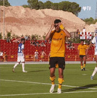 Premier League Win GIF by Wolves