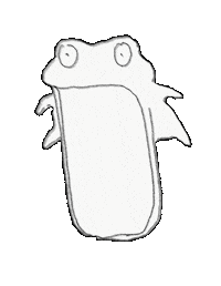 snotediary surprise frog 놀람 개구리 Sticker