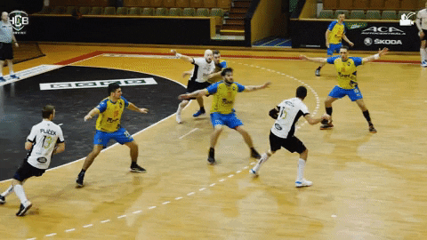 Celebrate Czech Republic GIF by HCB Karviná