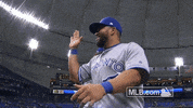 morales GIF by MLB