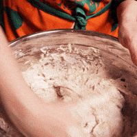 sourdoughdisco disco sourdough GIF