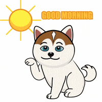 Happy Good Morning GIF by JPedicini