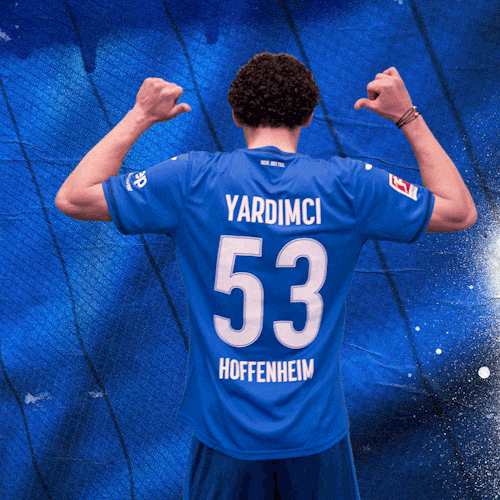 Sport Bundesliga GIF by TSG Hoffenheim