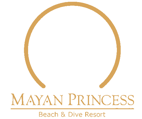 mayanprincessbr giphyupload roatan mayandivecenter mayanprincess Sticker