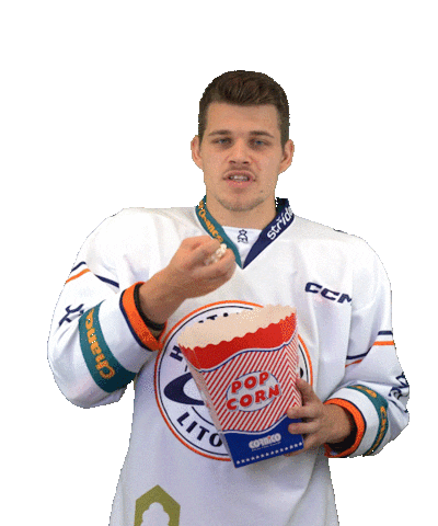 Sport Hokej Sticker by HCSTADION