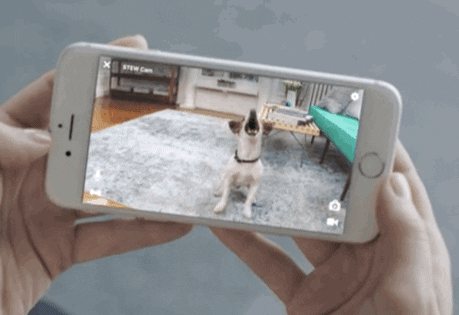 petcube bites + petcube play GIF by Product Hunt