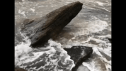 water sea GIF
