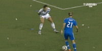 save big cat GIF by LA Galaxy