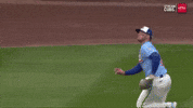 Chicago Cubs Catch GIF by TheDreamTeam 