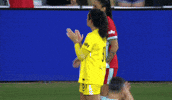 Clap Hug GIF by National Women's Soccer League
