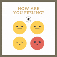 OnsiteWorkshops  GIF