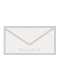 Wildpets dogs perro shipping envios Sticker