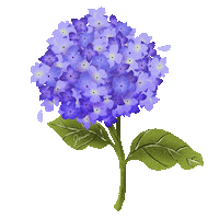 Flowers Spring Sticker by Jenn Arregocés