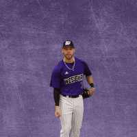 Baseball Wesleyan GIF by KWC Panthers