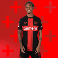 Bayer 04 Win GIF by Bayer 04 Leverkusen