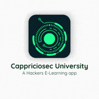 karthithehacker hackers cappriciosec cappriciosec university cappriciosecuniversity GIF